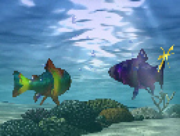 Sternzeichen-Fische Bild 1