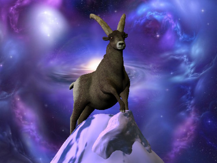 SternzeichenSteinbock Bild 1